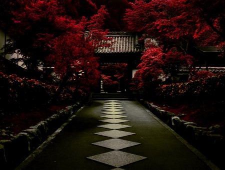 Nanzen Temple - japan, road, temple, kyoto, tree, japanese, autumn