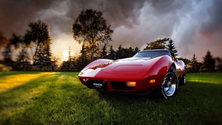 Chevrolet-Corvette- - cars, grass, chevrolet, corvette