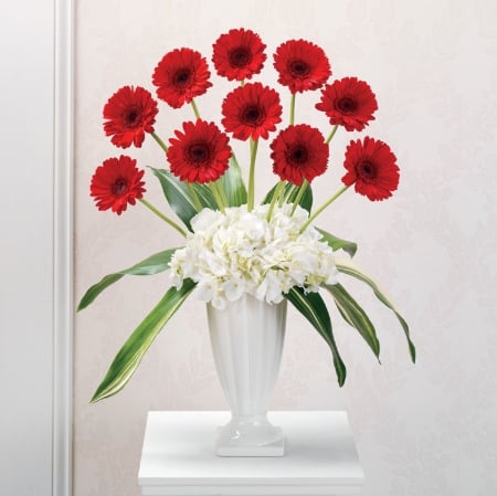 Flowers - flowers, red, nature, soft