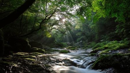 Stream - river, Stream, water, nature