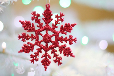 Red Snow Flake - love, red snow flake, decorations, christmas