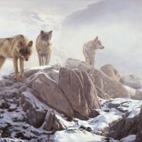 wolves on the mountain  art