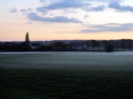 Misty - nature, view, field, photography