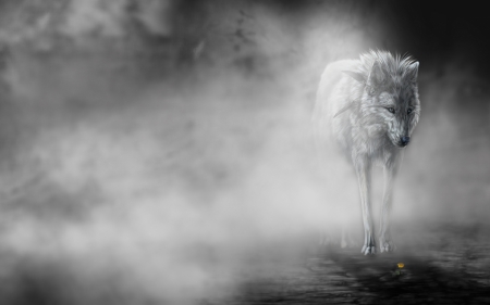 wolf fantasy - abstract, mood, emotion, majestic, canine, friendship, fantasy, grey wolf, maned wolf nature, mist, art