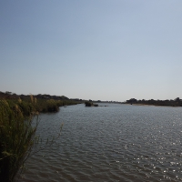 Kruger National Park River