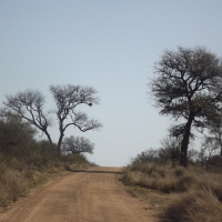 Kruger National Park Road