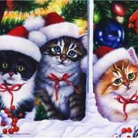 Xmas Kitties