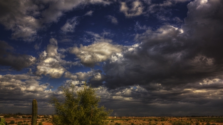 dark cloudy sky over desert - cactus, desert, stormy, clouds