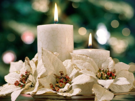 Christmas Candles! - christmas, candles, holidays, happy