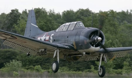 SBD Dauntless