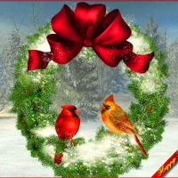 Cardinal wreath