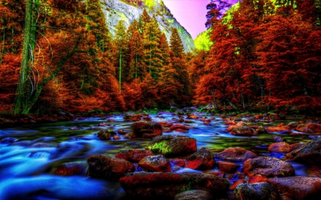 Yosemite at Autumn - fall, colorful, trees, season, creek, colors, stones, leaves