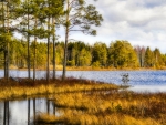 superb lake scape hdr