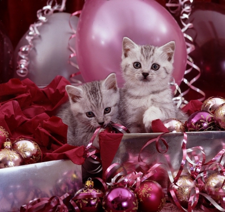 Silver Christmas Cats