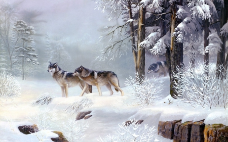 Wolf pack in the snowy forest - snow, winter, forest, wolf