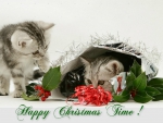 â™¥ Happy Christmas Time â™¥