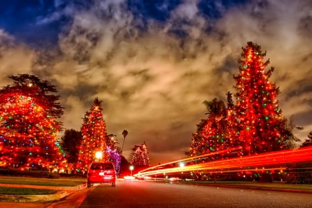 Christmas - pretty, magic, snowflakes, snow, forest, holiday, kindness, frost, nice, sky, mood, trees, winter, beautiful, snowy, lovely, tree, christmas, ice, care, new year, cold, park