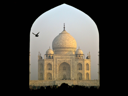 Taj Mahal - Arch, Bird, India, Taj Mahal