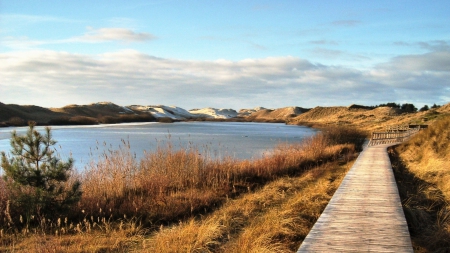 lovely boardwalk around a lake in autumn - lake, boardwalk, autumn, grass