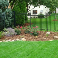 Backyard Garden