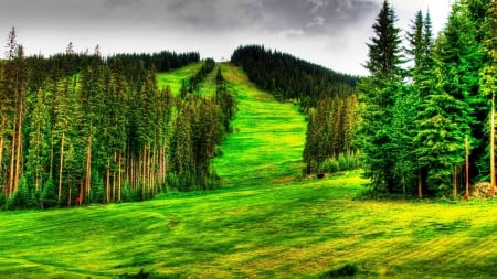 beautiful mountain ski slope in summer hdr - summer, lift, trees, mountain, hdr, grass