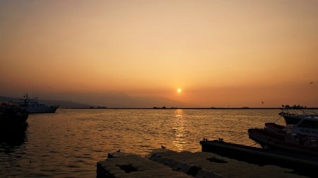 sonus in colorem - natalie cole, birds, beach, sea, sunsets