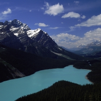 peyto lake