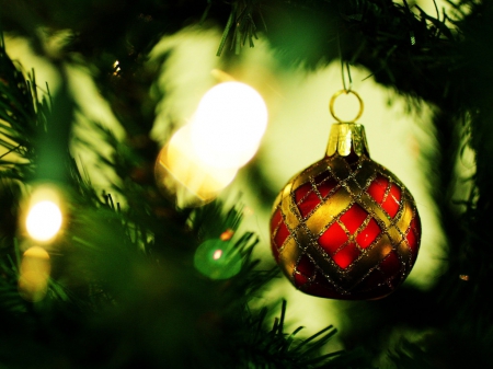 'Tis The Season!!! - holiday, red, lights, ornament, lovely, Christmas, tree