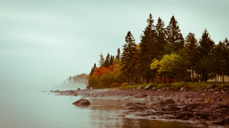 Lake - lake, water, nature, tree