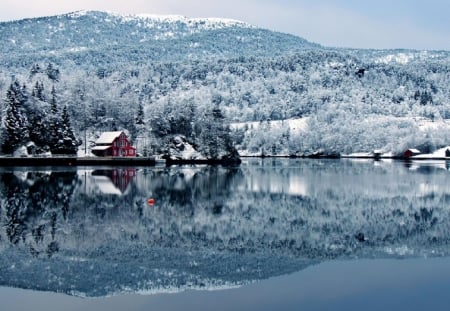 Lake - winter, water, nature, snow, lake, forest, peaceful