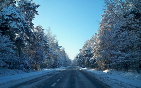 Winter - winter, nature, trees, snow