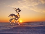 Ice deer