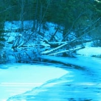 Winter Stream Blues