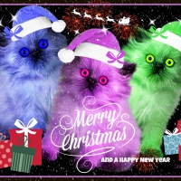 â™¥ *Merry*Christmas*To*Everyone* â™¥