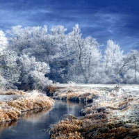 River in Winter