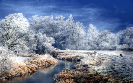 River in Winter - ice, landscape, trees, frost, water