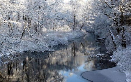 Winter Riverside - ice, trees, snow, frost, river