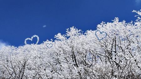 lovely winter - winter, heart, snow, love, mountain, tree