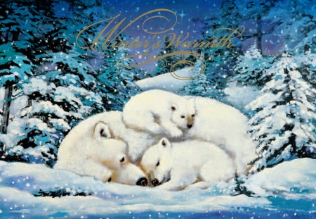 WINTER WARMTH - winter, bears, warmth, cubs, white, polar, fur, snow, cold