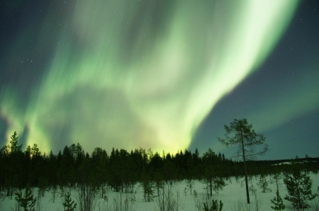 Winter Aurora! - winter, nature, sky, aurora