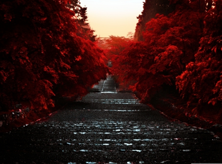 Japan_Honshu_Island - japan, stairs, red, tree