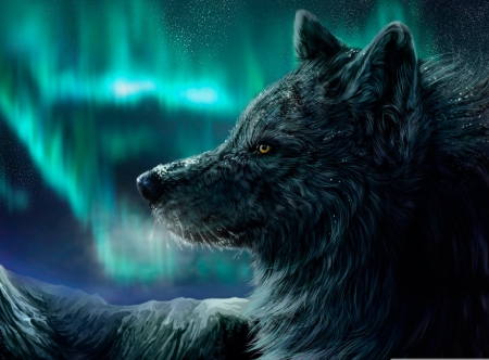 Mountain Wolf - wolf, sky, mountain, wild, aurora