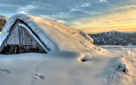 *** Winter *** - nature, snow, day, winter, sunny