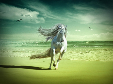 Sea Breath - fantasy, gallop, animal, sea, horse