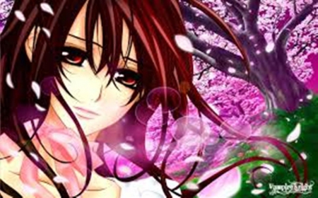 Vampire knight - vampire, yuki, kaname, zero