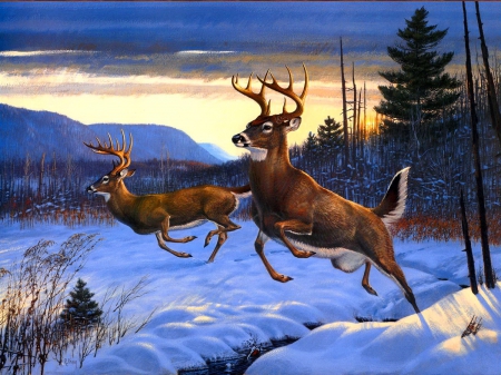 Twin trophies - quiet, trees, winter, snow, deers, painting, serenity, cold, friends, twin, art, sky, trophies, animals