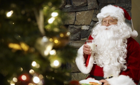 Santa Claus - hat, santa claus, fantasy, christmas, fir, white, man, red, tree, lights