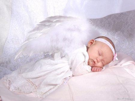 Cute Little Angel - Christmas, Sleep, Angel, Baby