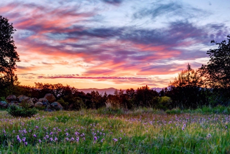 sunset - forest, fun, sunset, nature, mountain