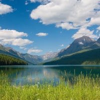 Bowman Lake Glacier